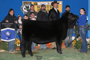 Colburn Saras Dream 6755