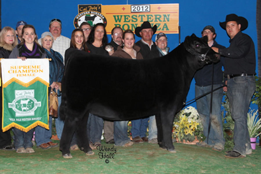 1339_SILVEIRASSARASDREAM1339_Supreme Female B Wyatt Colburn web